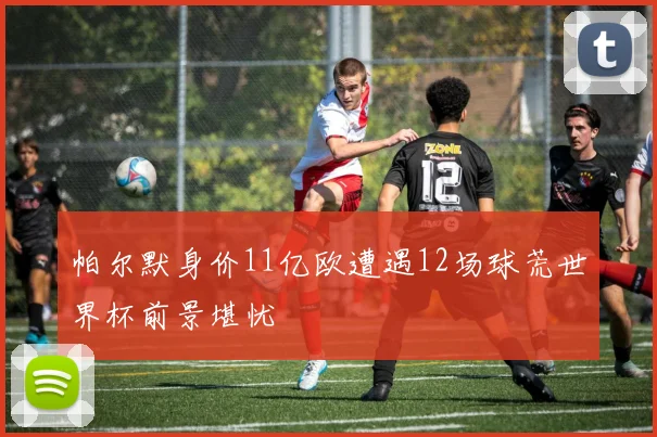 帕尔默身价11亿欧遭遇12场球荒世界杯前景堪忧