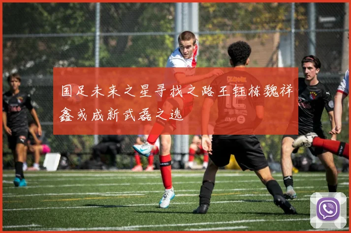 国足未来之星寻找之路王钰栋魏祥鑫或成新武磊之选