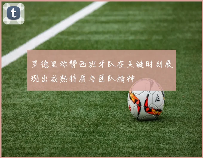 罗德里称赞西班牙队在关键时刻展现出成熟特质与团队精神