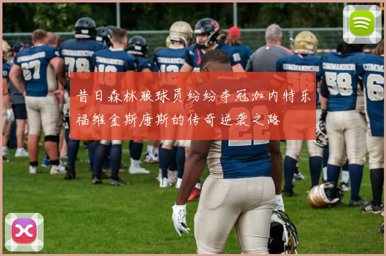 昔日森林狼球员纷纷夺冠加内特乐福维金斯唐斯的传奇逆袭之路